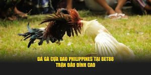 Đá Gà Cựa Dao Philippines Tại BET88 - Trận Đấu Đỉnh Cao