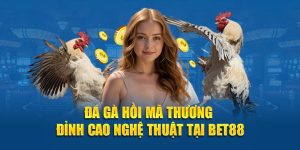 Đá Gà Hồi Mã Thương – Đỉnh Cao Nghệ Thuật Tại BET88