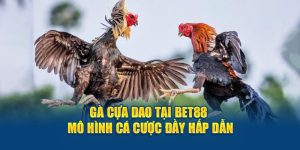 Gà Cựa Dao Tại BET88 - Mô Hình Cá Cược Đầy Hấp Dẫn