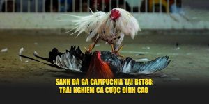 Sảnh Đá Gà Campuchia Tại BET88: Trải Nghiệm Cá Cược Đỉnh Cao