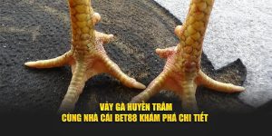 Vảy Gà Huyền Trâm - Cùng Nhà Cái BET88 Khám Phá Chi Tiết