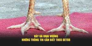 Vảy Gà Khai Vương - Những Thông Tin Cần Biết Theo BET88