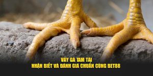 Vảy Gà Tam Tài - Nhận Biết Và Đánh Giá Chuẩn Cùng BET88