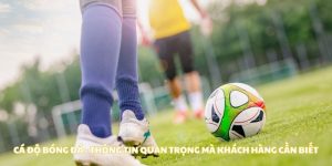Cá Độ Bóng Đá - Thông Tin Quan Trọng Mà Khách Hàng Cần Biết